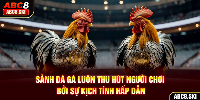 Sảnh đá gà luôn thu hút người chơi bởi sự kịch tính hấp dẫn