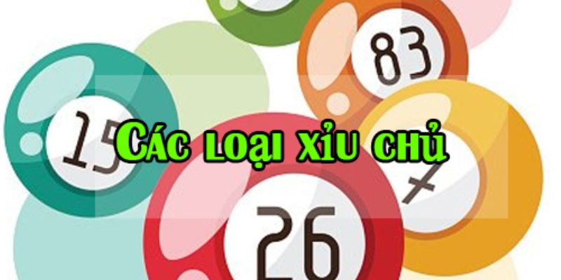 Các loại xỉu chủ hiện nay