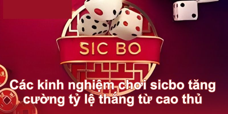 Các mẹo không nên bỏ qua khi chơi sicbo